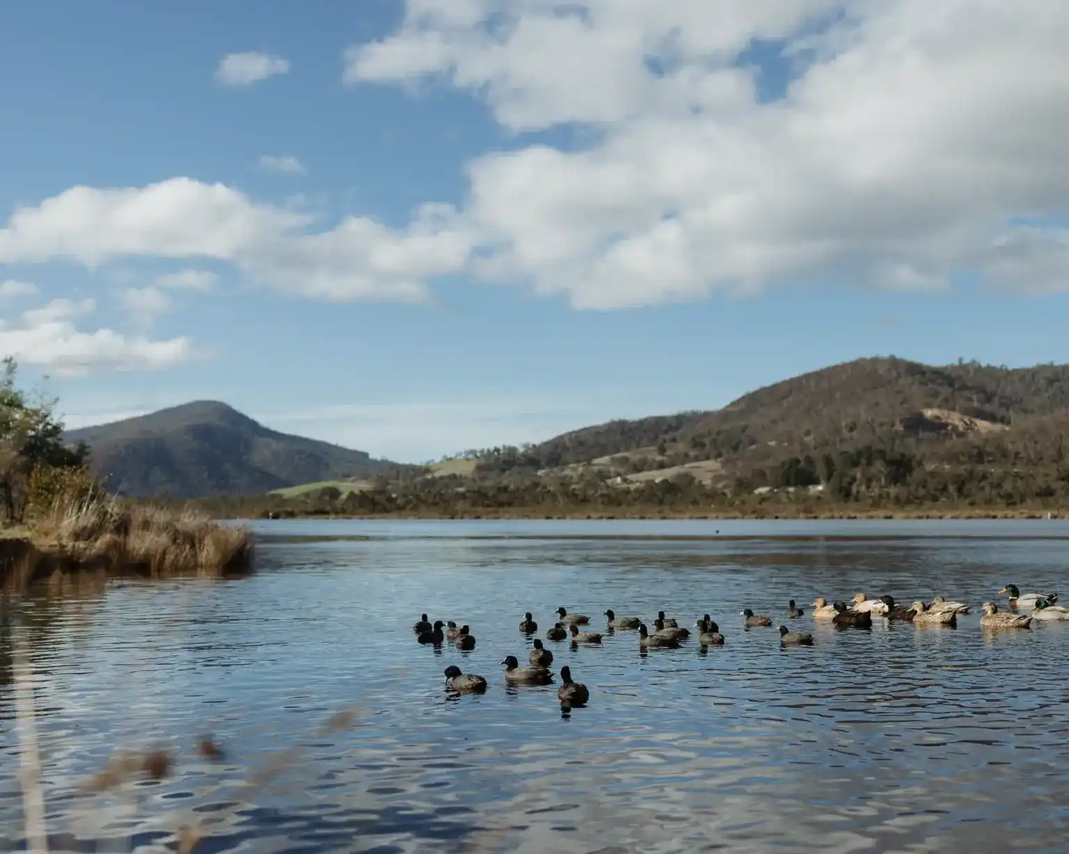 Boat Reflections hotel and Franklin surrounds in Tasmania's Huon Valley. Image by Josh Withers, Tasmanian wedding celebrant.