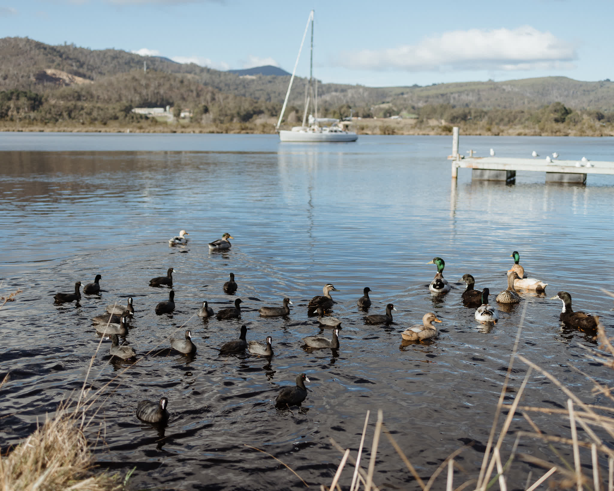 Huon River Sunrise Suite - Gallery Image 14
