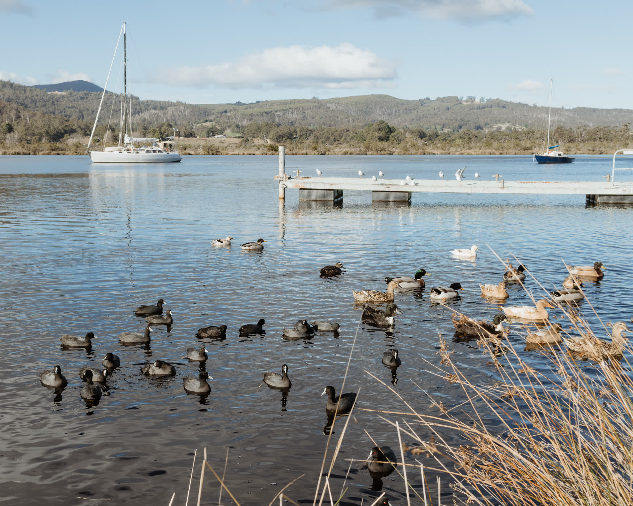 Huon River Sunrise Suite - Gallery Image 15