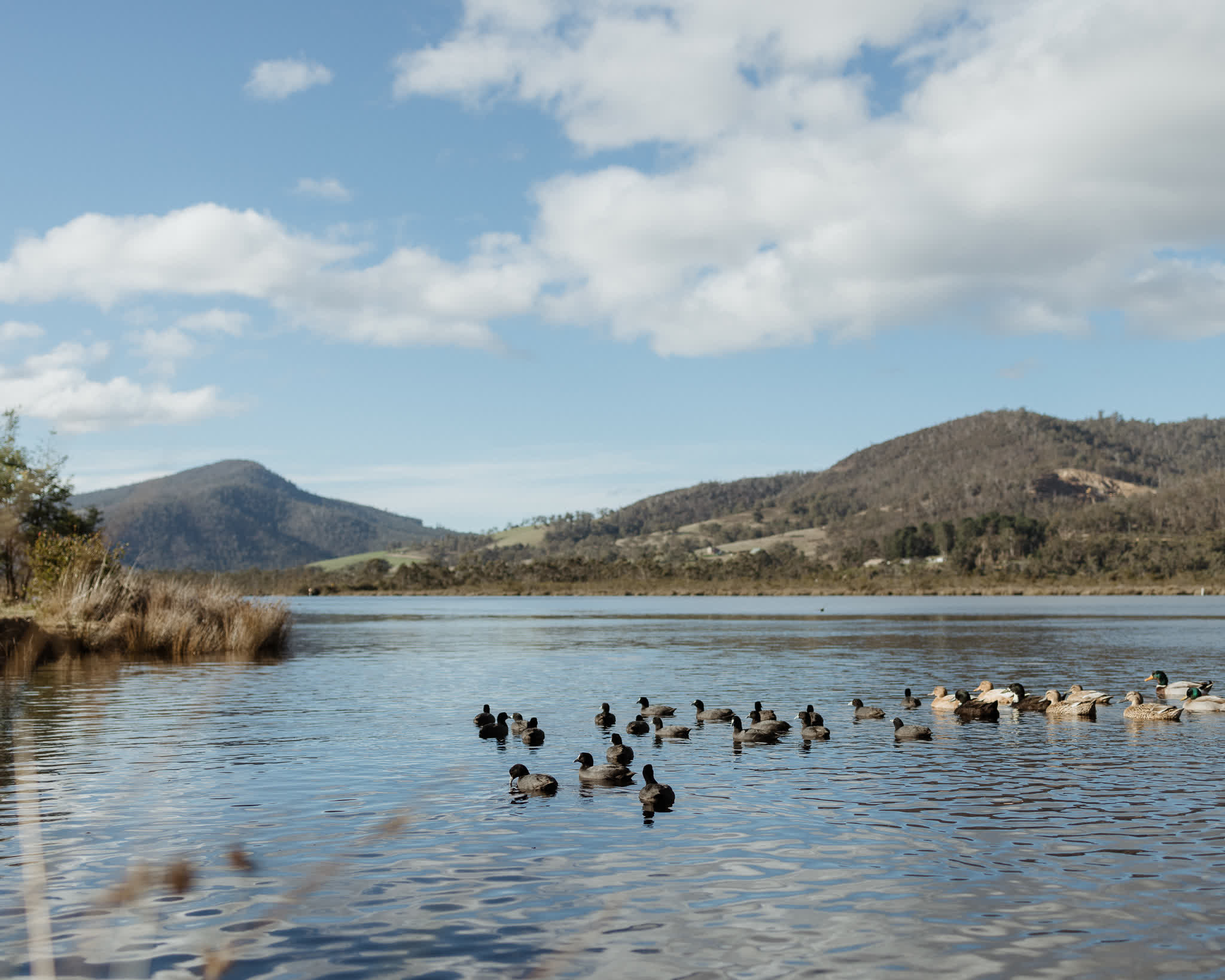 Huon River Sunrise Suite - Gallery Image 16