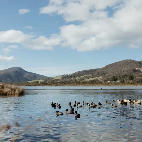 Huon River Sunrise Suite, gallery view 27