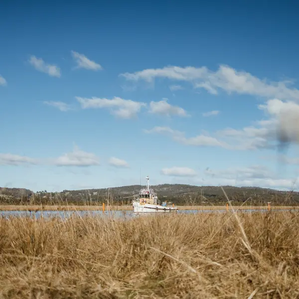 Huon River Sunrise Suite, gallery view 35