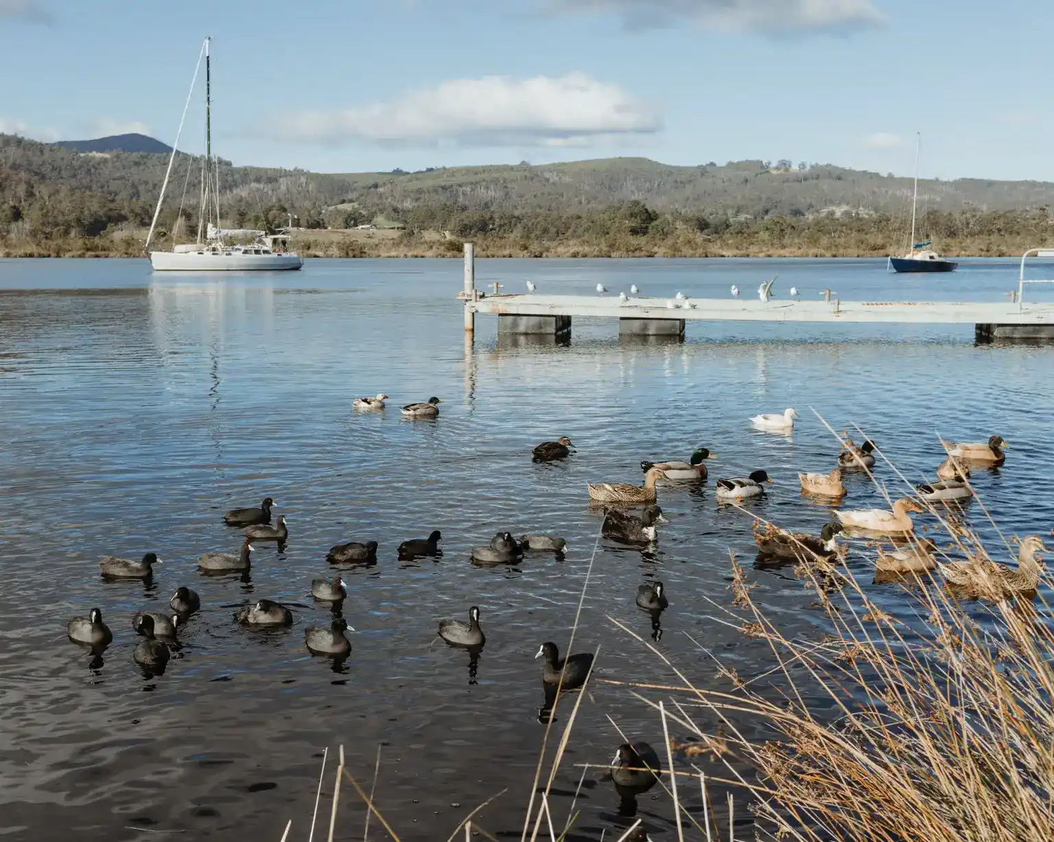 Photos of Boat Reflections accommodation on the Huon River in Franklin, Tasmania. Taken by Josh Withers, Tasmanian photographer and wedding celebran