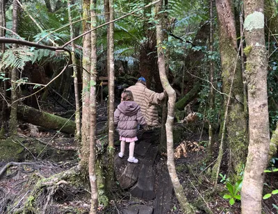Franklin Forest Walk