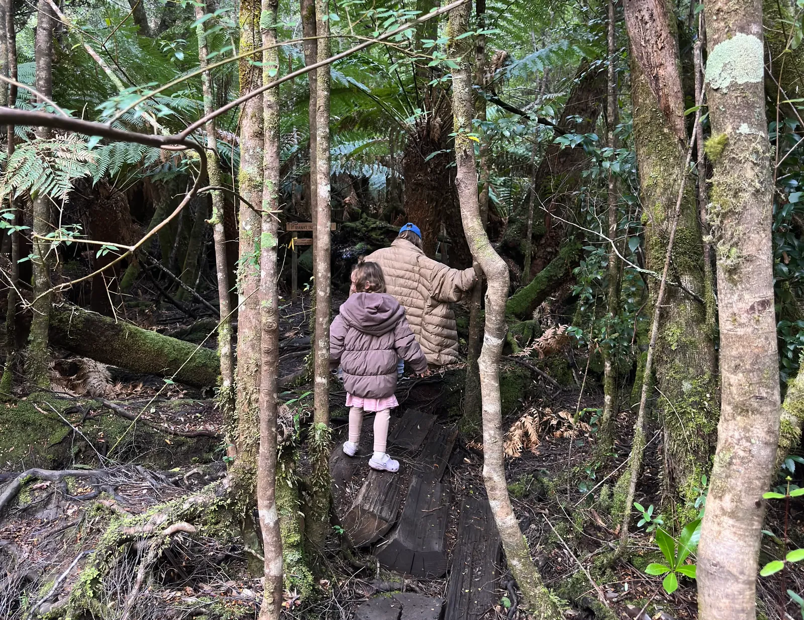 Franklin Forest Walk