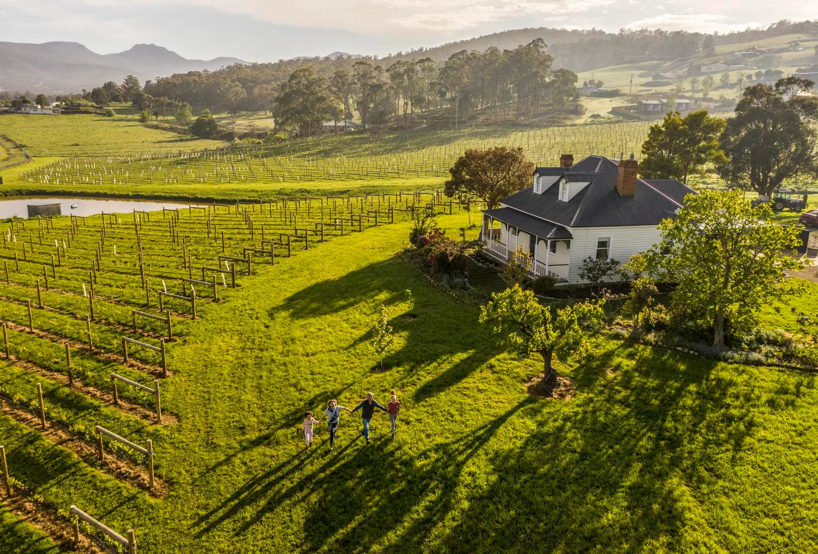 Kate Hill Wines