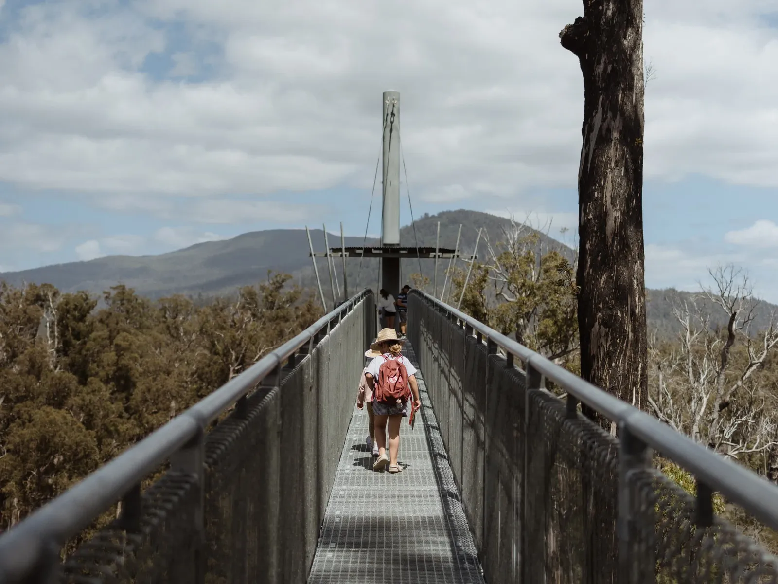 Tahune Adventures