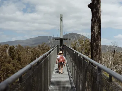 Tahune Adventures