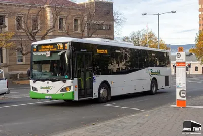 Tassielink Transit